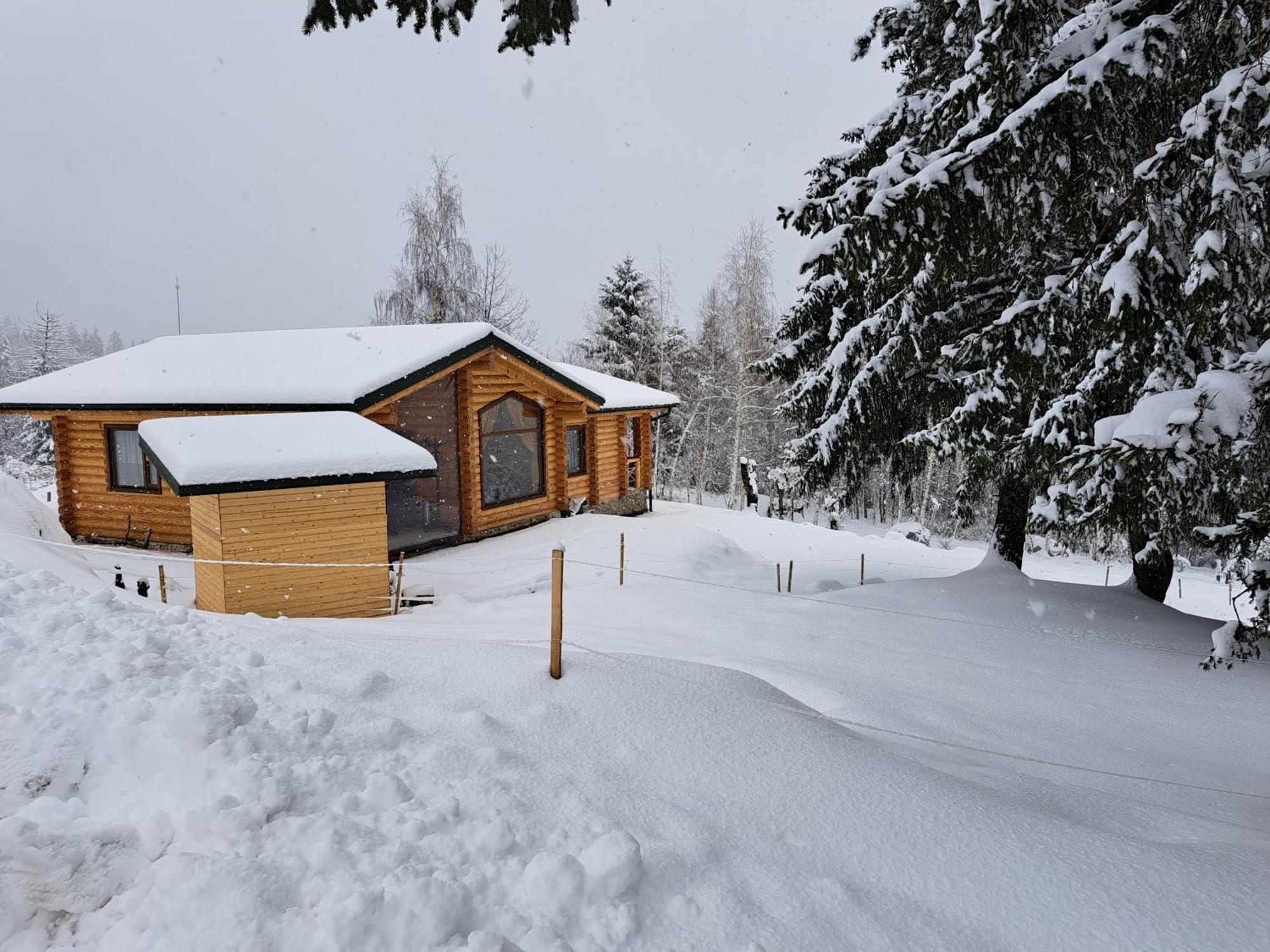Вила Брезите Pamporovo Exterior photo