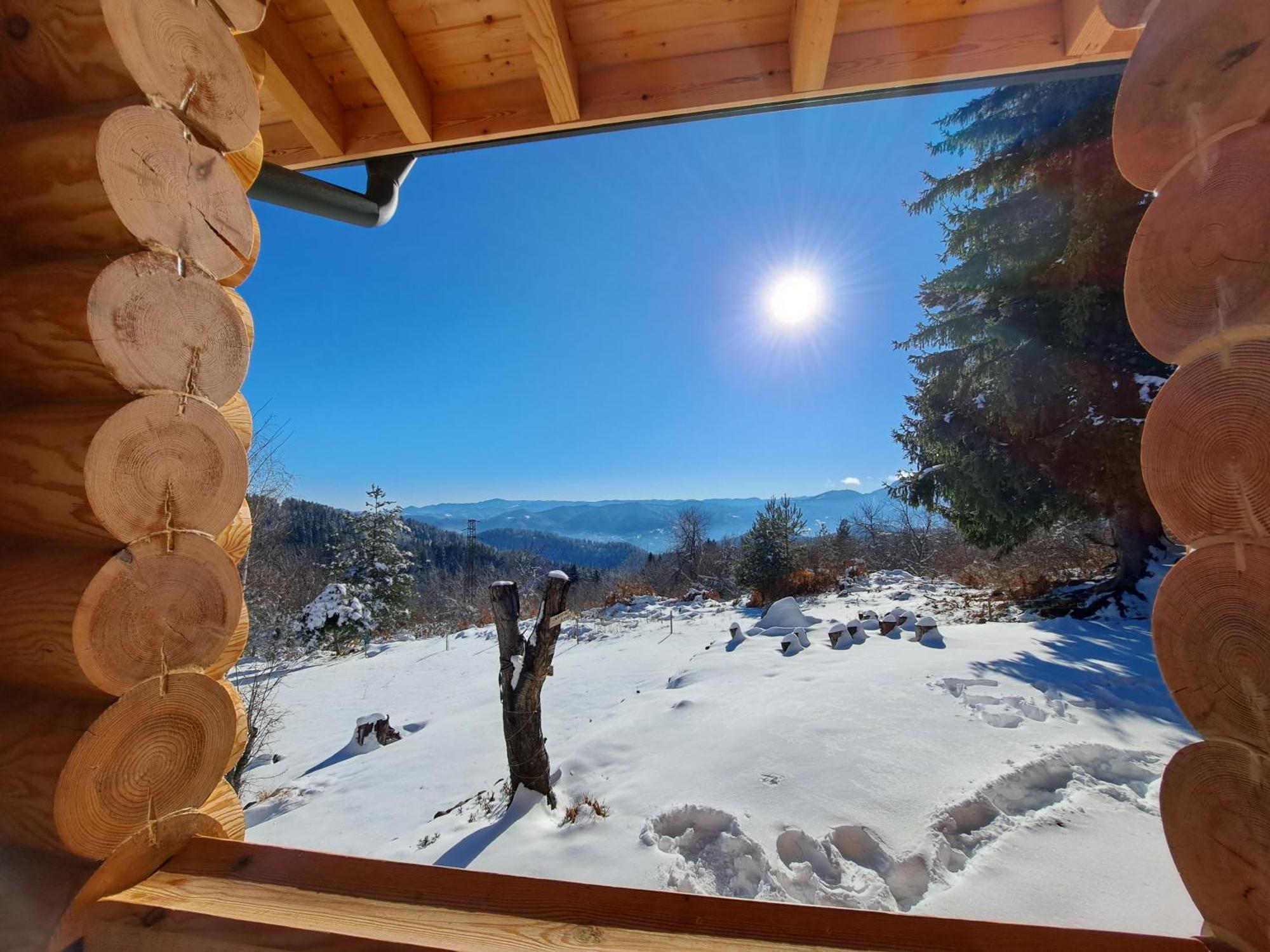 Вила Брезите Pamporovo Exterior photo